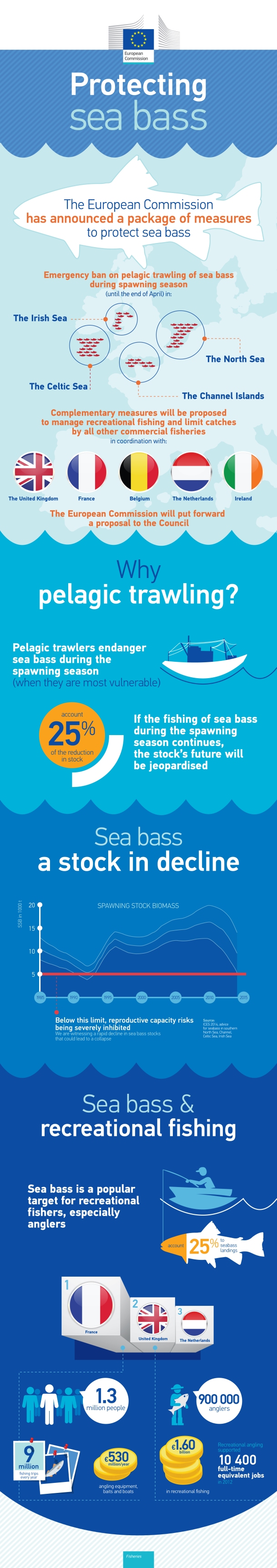 Infograph detailing the current situation regarding sea bass fishing - European Commission.